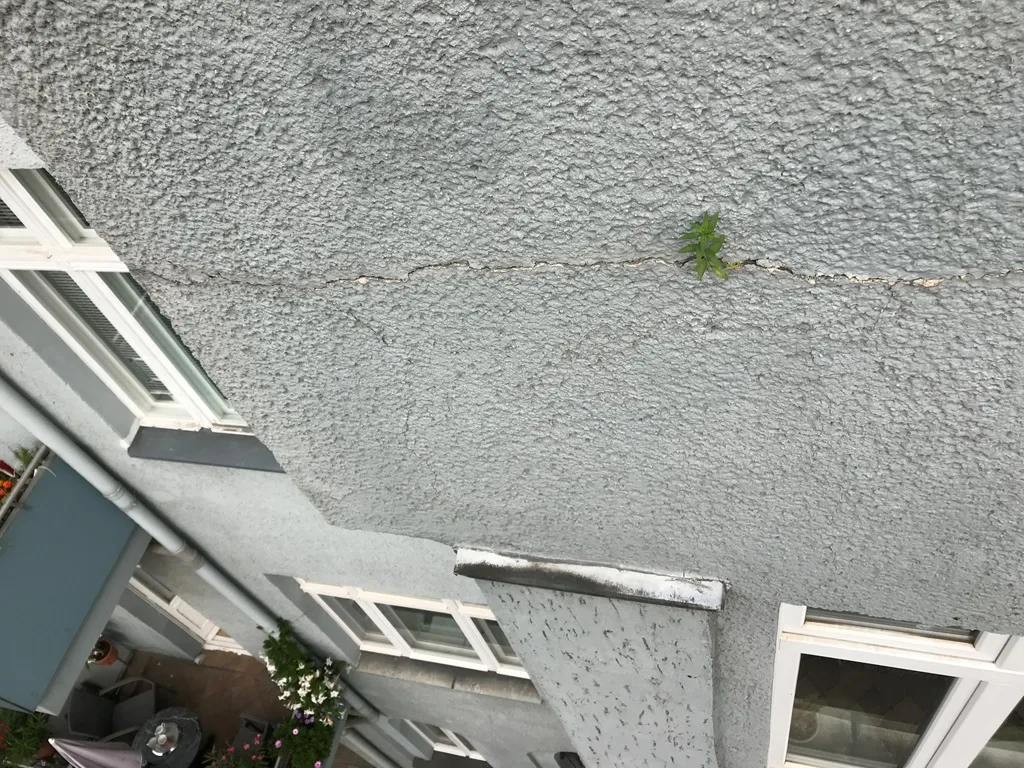 Gerissenes Flachdach als Feuchtigkeitsquelle
