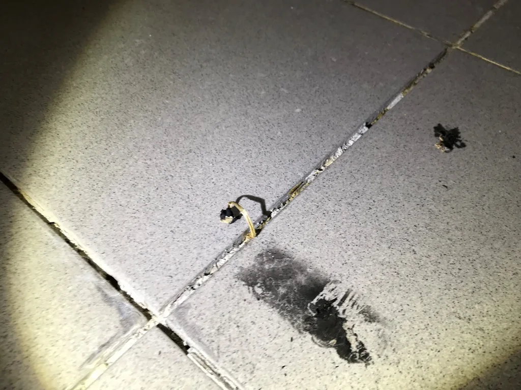 Schimmelverfärbung an Bodenfliesen