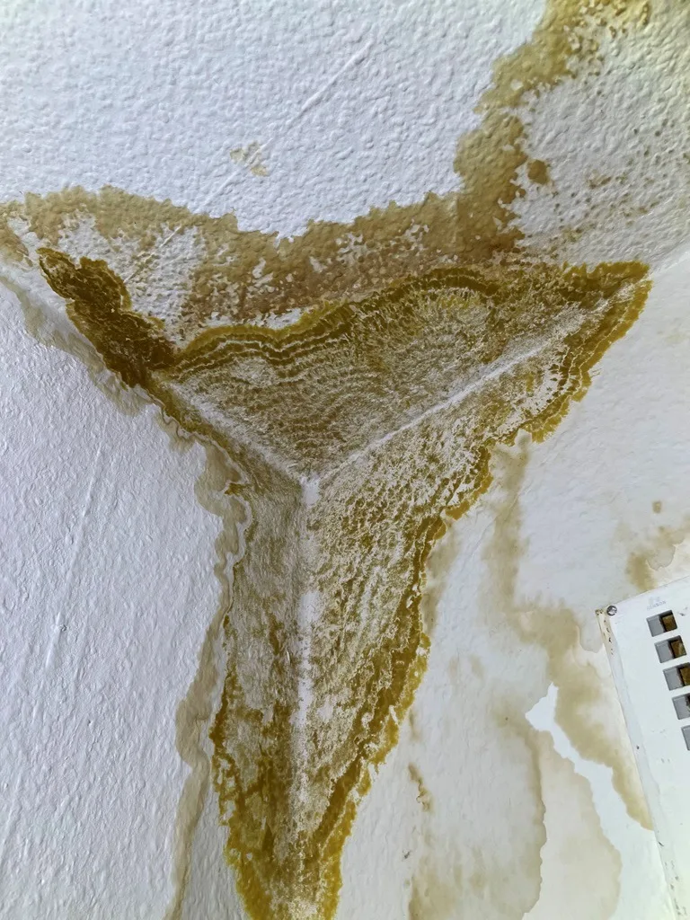 Wasserschadenfleck an der Decke